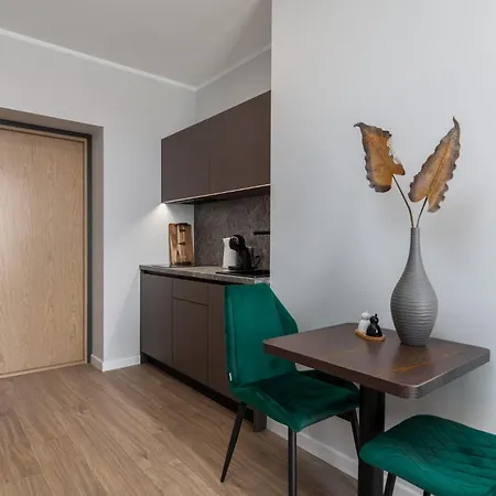 Apartment P6 Old Town *